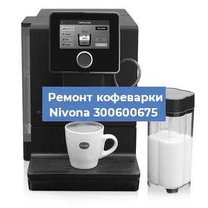Ремонт капучинатора на кофемашине Nivona 300600675 в Краснодаре